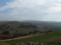 Collines